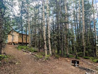 8.5 Acres Phillips Road, Fort Garland, CO 81133