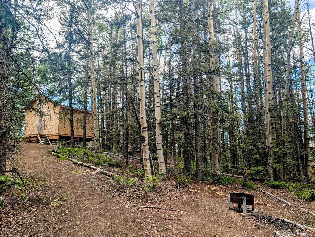 8.5 Acres Phillips Road, Fort Garland, CO 81133