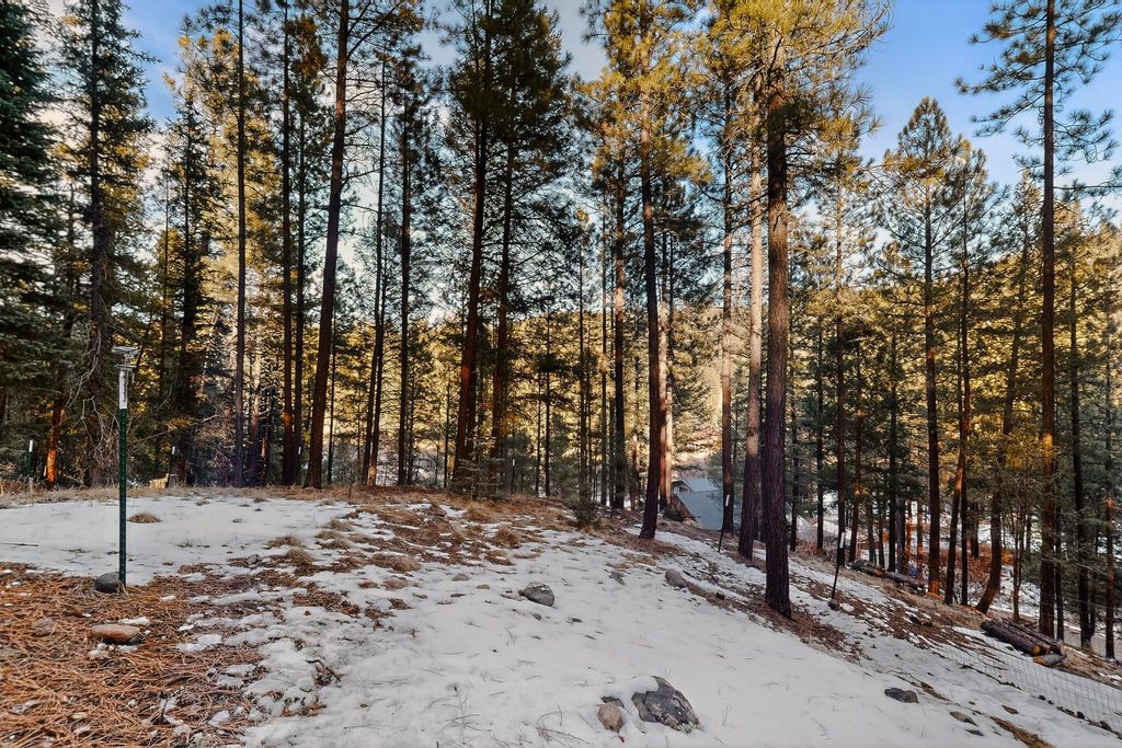 Image 50 of property listing at 455 Obsidian Road, Jemez Springs, NM 87025