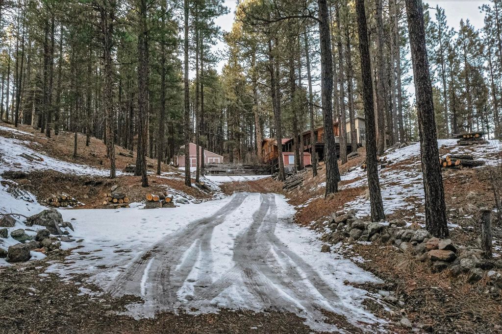 Image 62 of property listing at 455 Obsidian Road, Jemez Springs, NM 87025