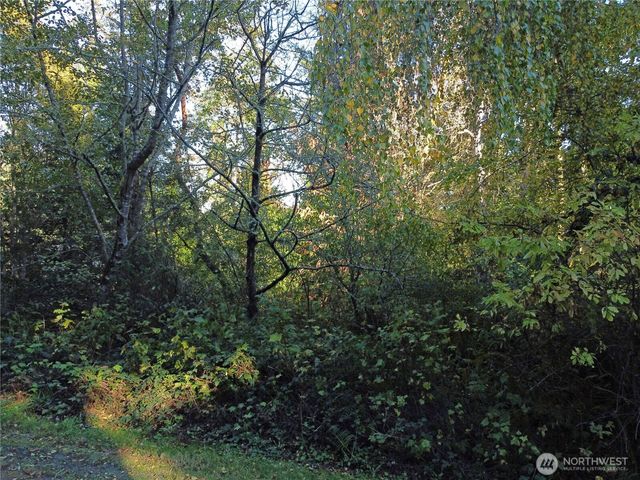 0 Lylus Lane, Port Hadlock, WA 98339