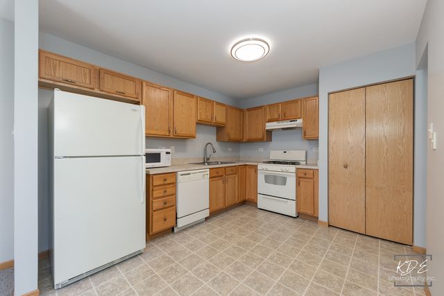 524 Meadow Lily Drive 524, Joliet, IL 60431