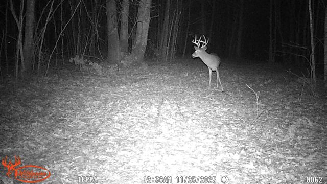 0 Old Shook, Belvidere, TN 37306