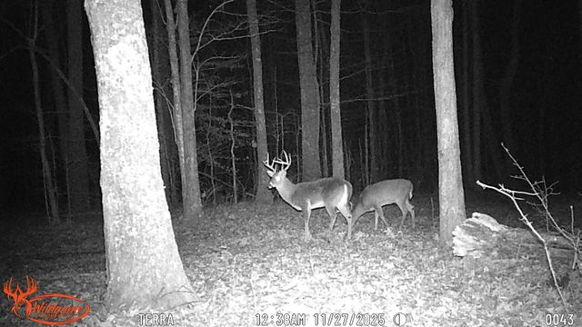 0 Old Shook, Belvidere, TN 37306