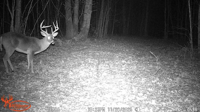 0 Old Shook, Belvidere, TN 37306