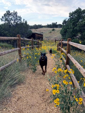 32 Two Horse Trail, Santa Fe, NM 87508