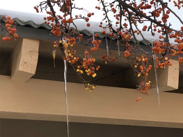 32 Two Horse Trail, Santa Fe, NM 87508