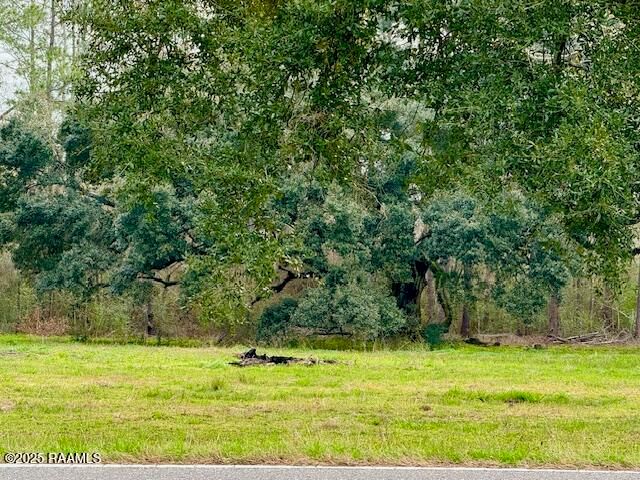 Tbd 5th Street (Tract 3), Iota, LA 70543