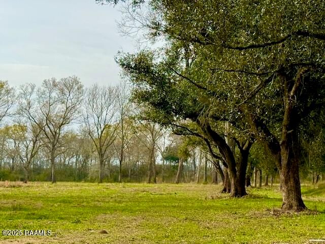 Tbd 5th Street (Tract 3), Iota, LA 70543
