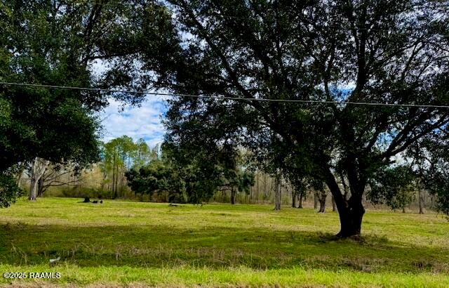 Tbd 5th Street (Tract 3), Iota, LA 70543