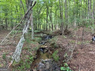140+/- AC Hwy 100, Franklin, GA 30217