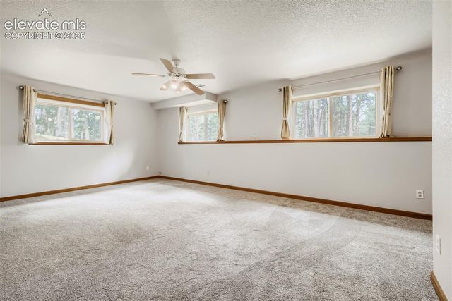 8750 Tannenbaum Road, Colorado Springs, CO 80908