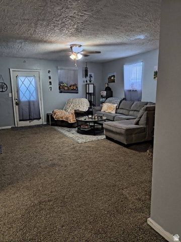 50 W 100 N, Salina, UT 84654