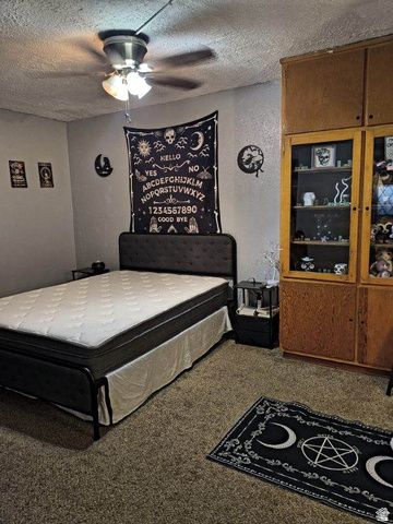 50 W 100 N, Salina, UT 84654