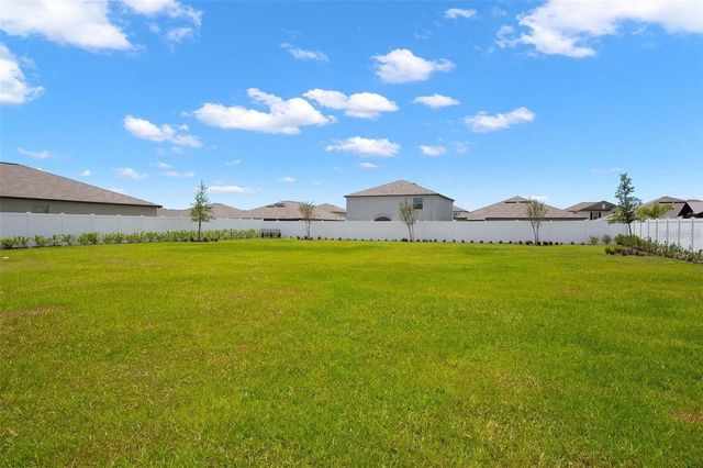 13515 WILD GINGER STREET, Riverview, FL 33579