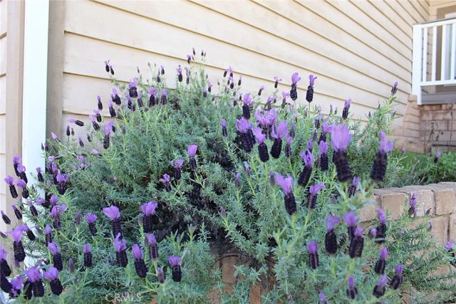 3482 Skycrest, Oroville, CA 95965