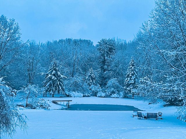 9868 Willow Road, Willis, MI 48191