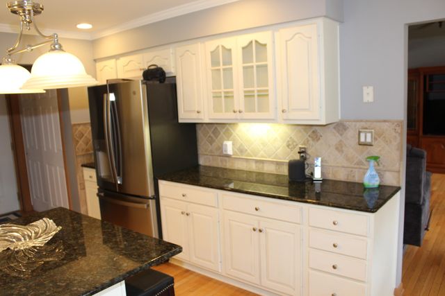 9868 Willow Road, Willis, MI 48191