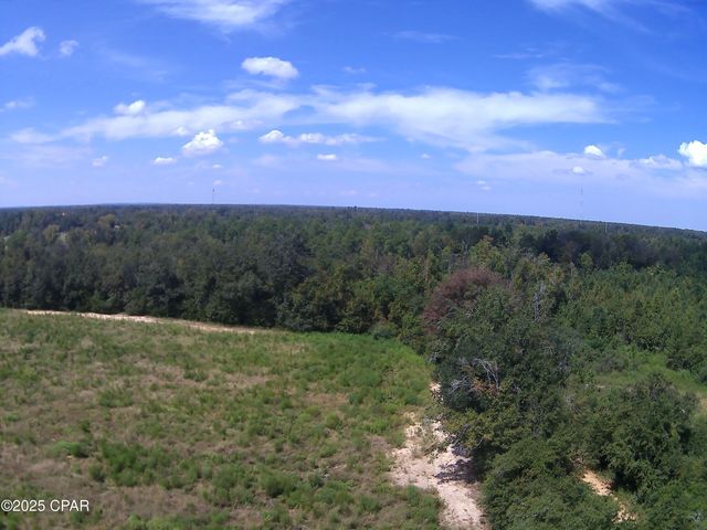 TBD Mashburn Road, Marianna, FL 32448
