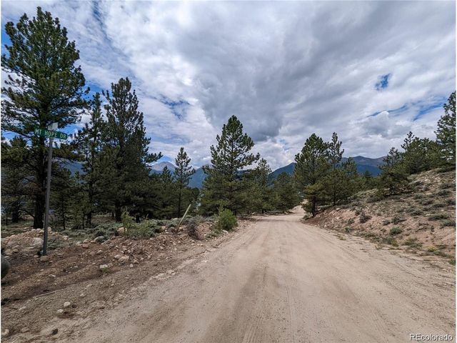 445 Mt. Hope, Twin Lakes, CO 81251