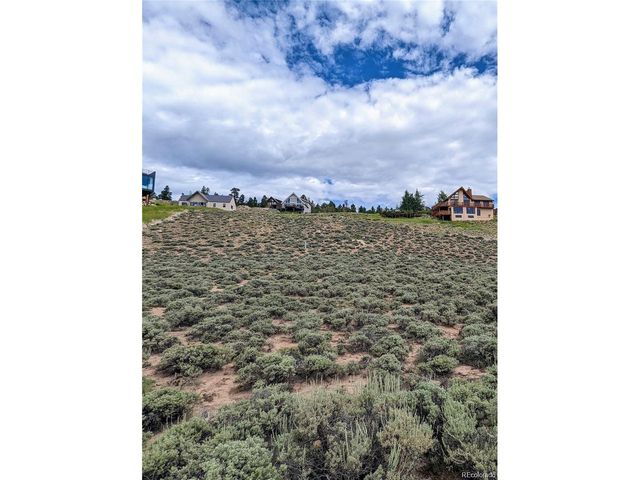 445 Mt. Hope, Twin Lakes, CO 81251