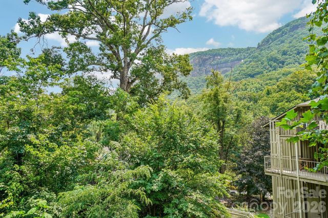950 Main Street 4, Chimney Rock, NC 28720