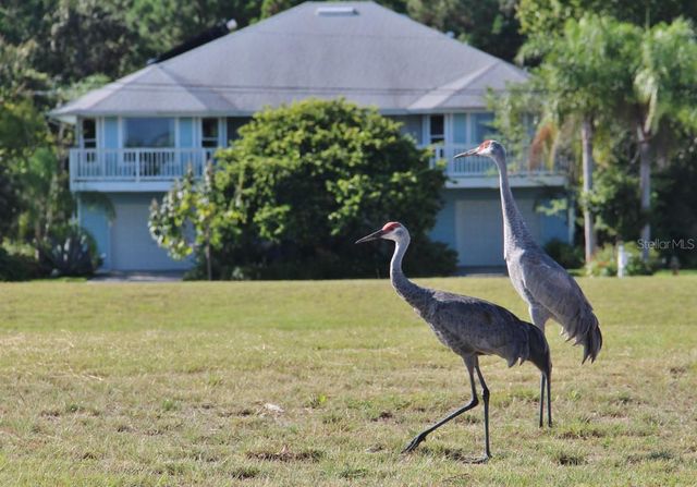 3472 COBIA DRIVE, Hernando Beach, FL 34607