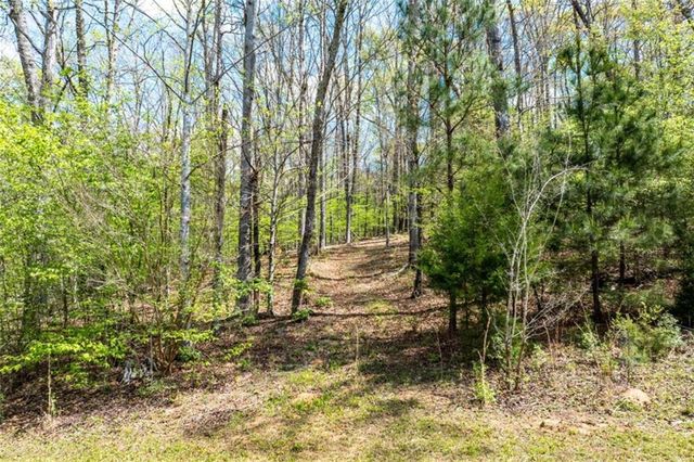 1580 Bob Godfrey Road, Athens, GA 30605