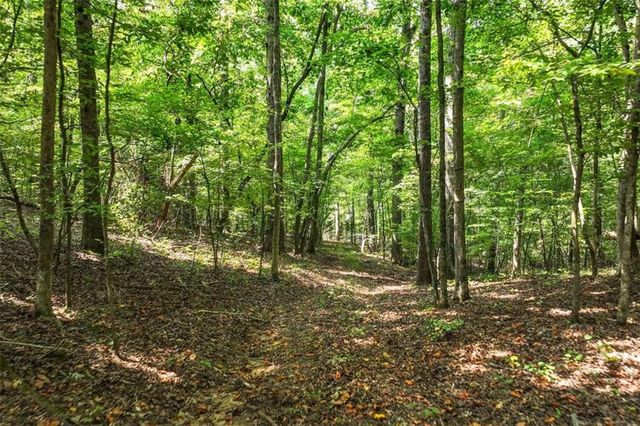 1580 Bob Godfrey Road, Athens, GA 30605
