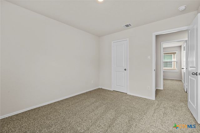 1521 Agave Cellar, New Braunfels, TX 78130