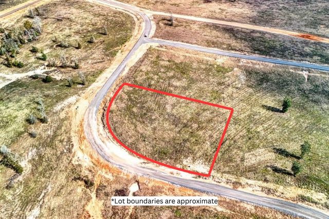 0 Vintage Road, Livingston, TX 77351