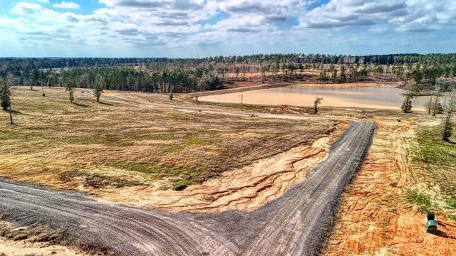 0 Vintage Road, Livingston, TX 77351