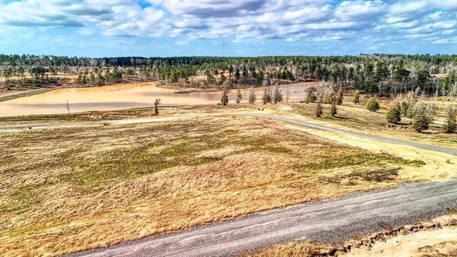 0 Vintage Road, Livingston, TX 77351