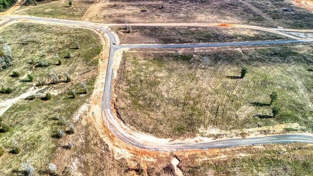 0 Vintage Road, Livingston, TX 77351