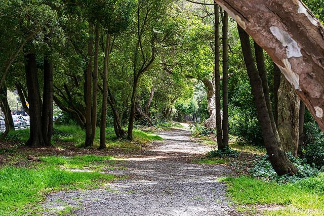 459 24th Avenue, San Francisco, CA 94121