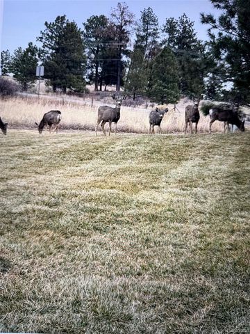 9050 Mary Clarke Place, Parker, CO 80138