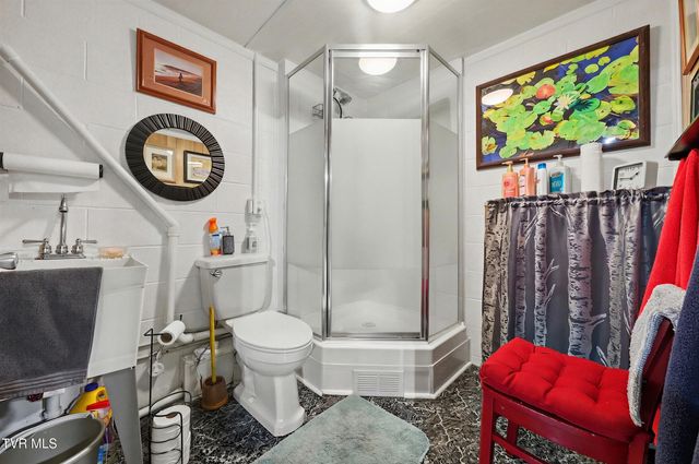 109 Pine Ridge Drive, Afton, TN 37616
