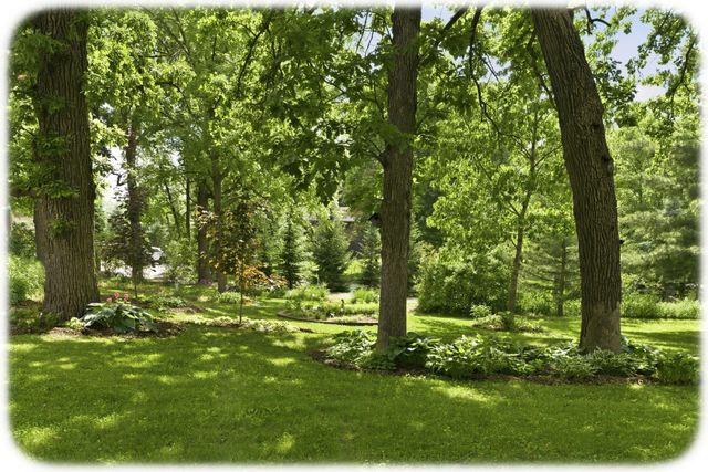 21527 Homestead Trail, Corcoran, MN 55340