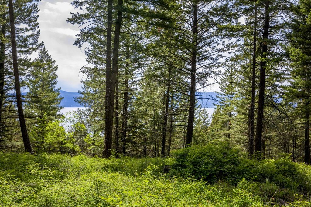 28 DOUBLETREE DRIVE, BIGFORK, MT 59911, BIGFORK, MT Clearwater Properties