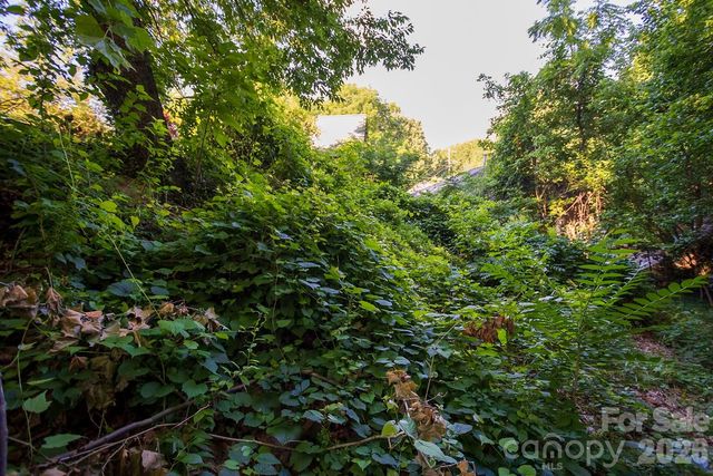 99999 Clingman Avenue, Asheville, NC 28801