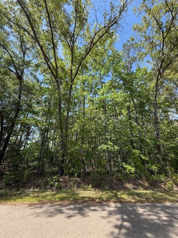 0 Moffett Road, Hollywood, SC 29449