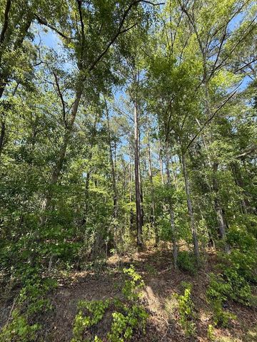 0 Moffett Road, Hollywood, SC 29449