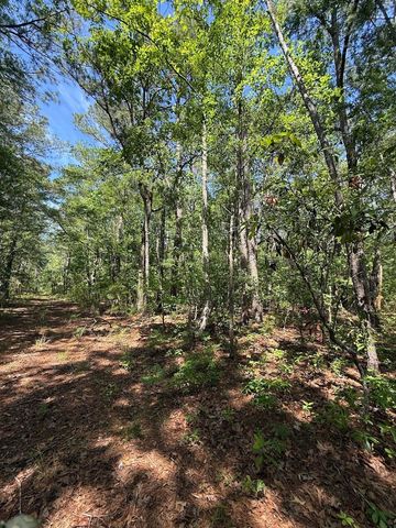 0 Moffett Road, Hollywood, SC 29449