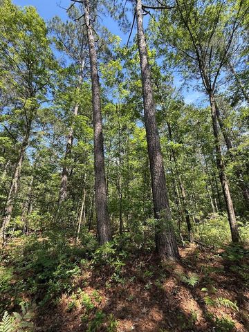 0 Moffett Road, Hollywood, SC 29449
