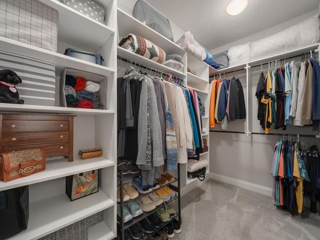 6438 Timber Arch Drive, Chaska, MN 55318