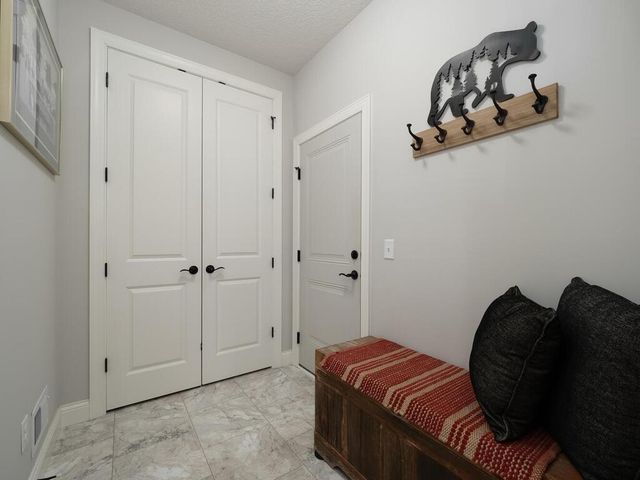 6438 Timber Arch Drive, Chaska, MN 55318