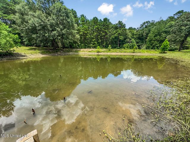 6136 Magnolia Progress Road, Magnolia, MS 39652