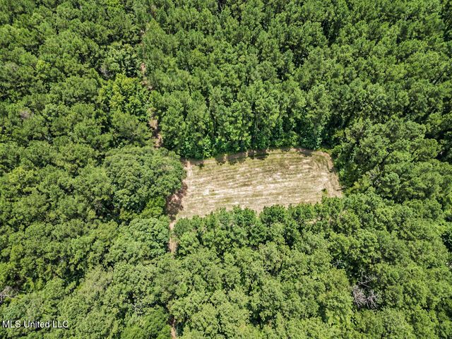 6136 Magnolia Progress Road, Magnolia, MS 39652