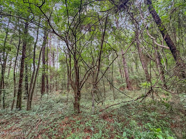 6136 Magnolia Progress Road, Magnolia, MS 39652