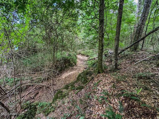 6136 Magnolia Progress Road, Magnolia, MS 39652